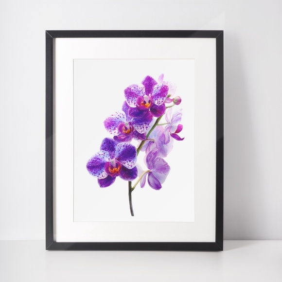 Watercolor Purple Orchids Wall Art Print Unframed - Elegant Floral Serenity - Picture 2 of 6